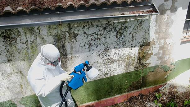 Top rated local Mold Testing specialists in West Point, GA